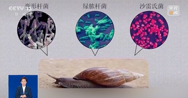 专项行动！近期看见它们千万别碰！爱游戏app最新登录入口福建开展(图2)