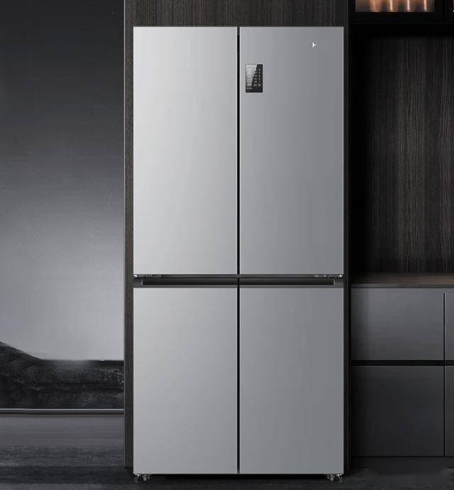 什么品牌最好？这六款可以闭眼入爱游戏(ayx)中国网站于冰箱(图3)