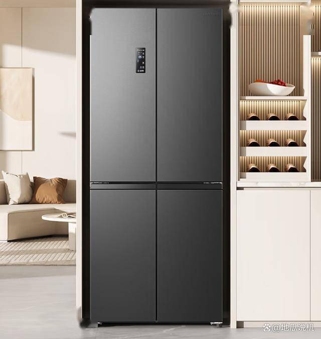 什么品牌最好？这六款可以闭眼入爱游戏(ayx)中国网站于冰箱(图4)