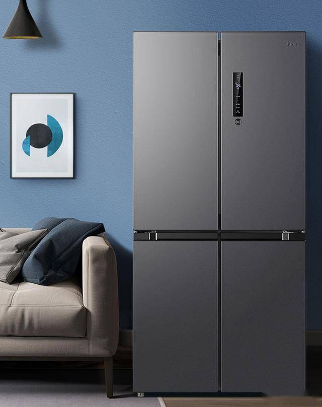 什么品牌最好？这六款可以闭眼入爱游戏(ayx)中国网站于冰箱(图6)