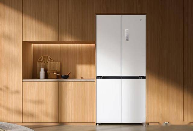 什么品牌最好？这六款可以闭眼入爱游戏(ayx)中国网站于冰箱(图7)